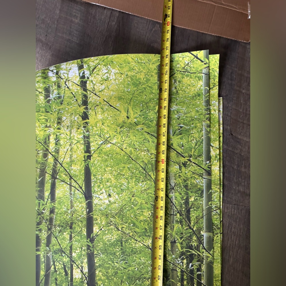 Bamboo Forest Wallpaper - Picture 5 of 7